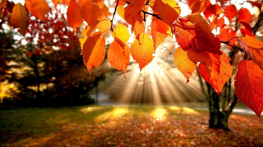 Selling your property in Autumn? Here are our top tips...